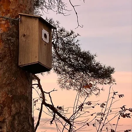 Appartement Upea Loftsuite, Jaervinaekymae, Wifi, Sauna &