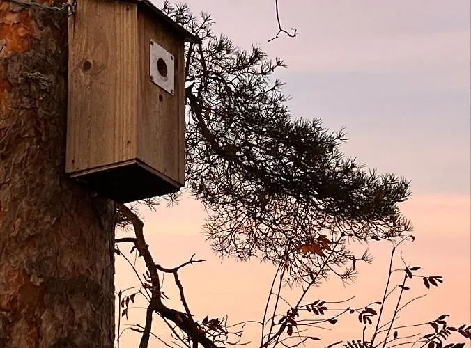 Apartament Upea Loftsuite, Jaervinaekymae, Wifi, Sauna &